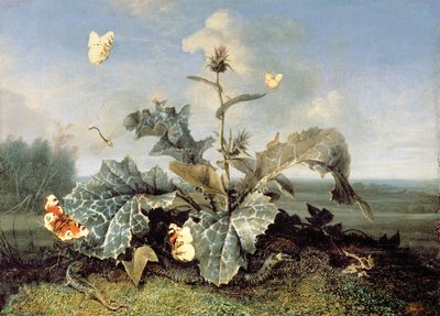 The Burdock Bush by Otto Marseus  van Schrieck